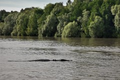 IMG_20220713_092747-2